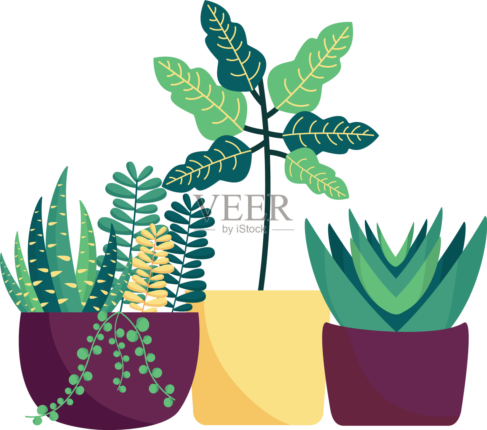 花盆内孤立的植物设计设计元素图片