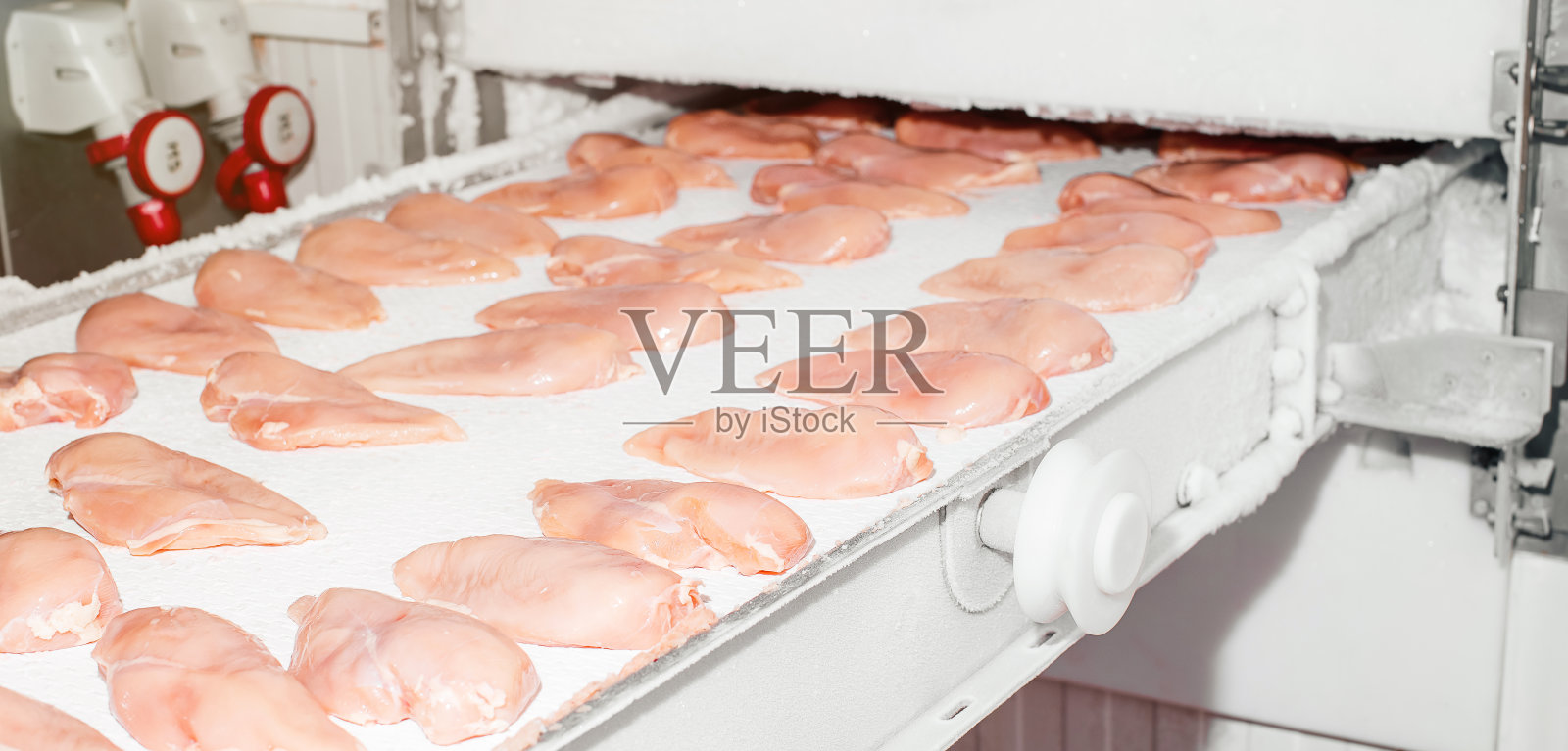 加工工业食品肉类。现代化食品工厂的自动化生产线。现代化家禽加工厂。工厂工作线。食品工业鸡。照片摄影图片