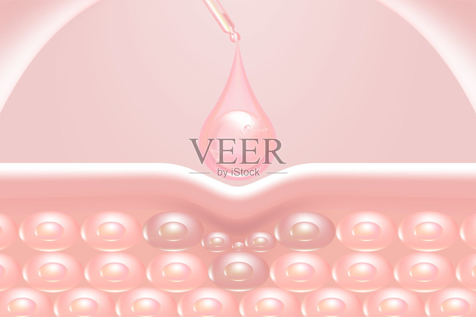 透明质酸头发和皮肤解决方案广告，粉红色胶原蛋白血清滴皮肤细胞与化妆品广告背景准备使用，插图向量。插画图片素材