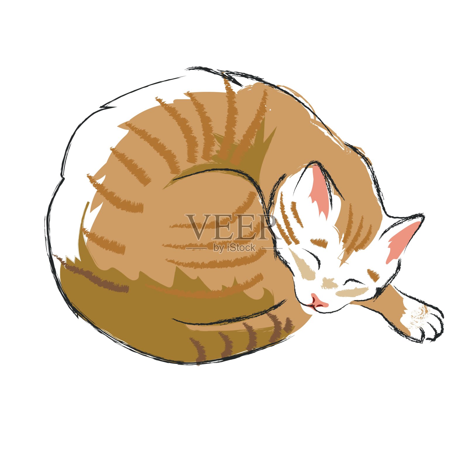 睡觉的猫插画图片素材