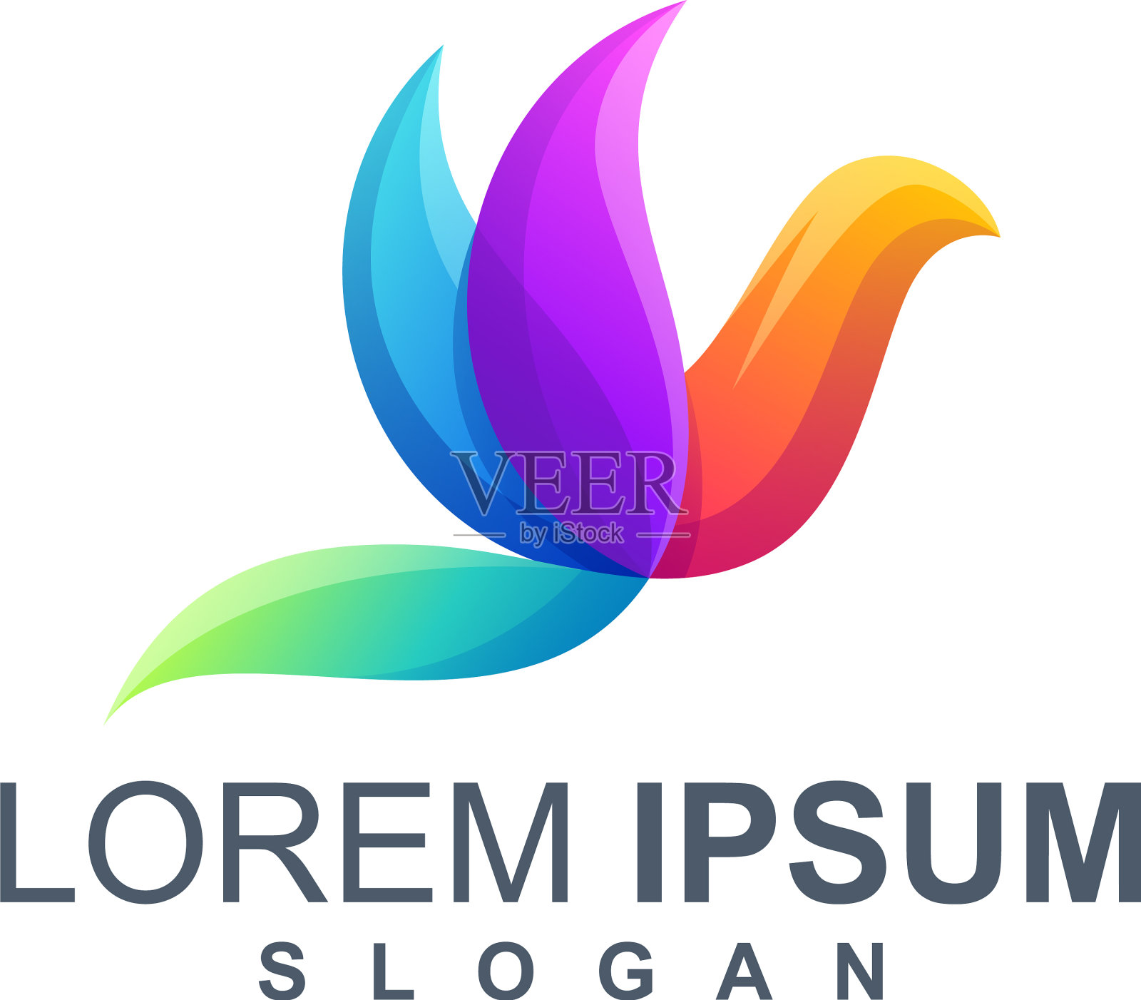 鸟色标志设计插画图片素材