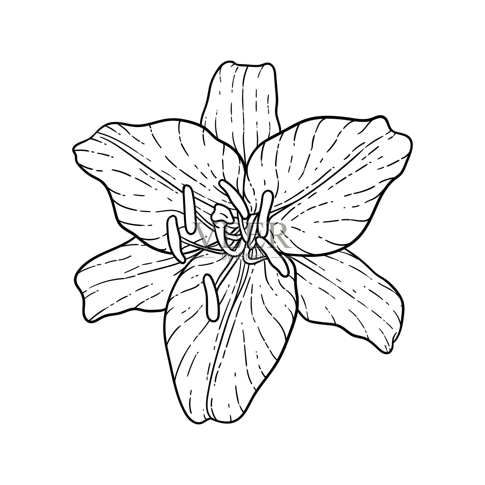 美丽的黑白花束百合设计元素图片