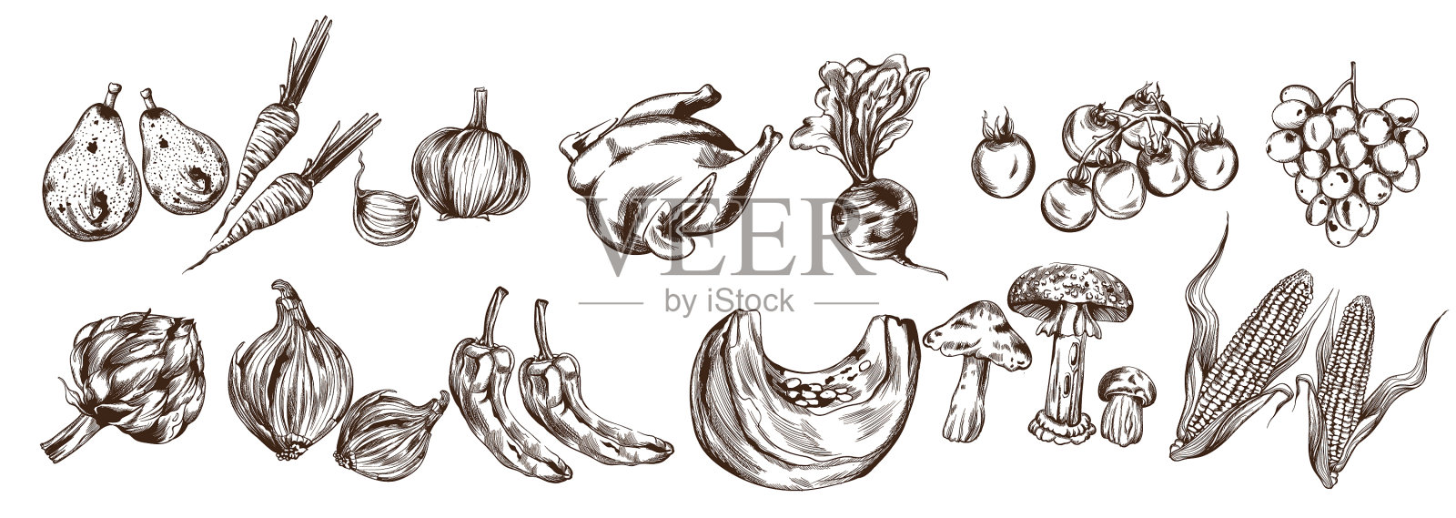 秋菜集线艺术洋蓟设计元素图片