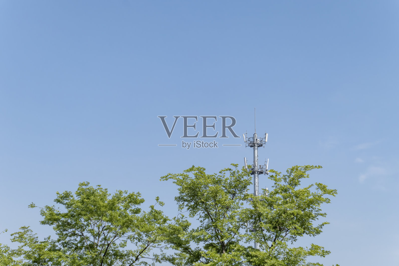 5g信号塔在树林中照片摄影图片