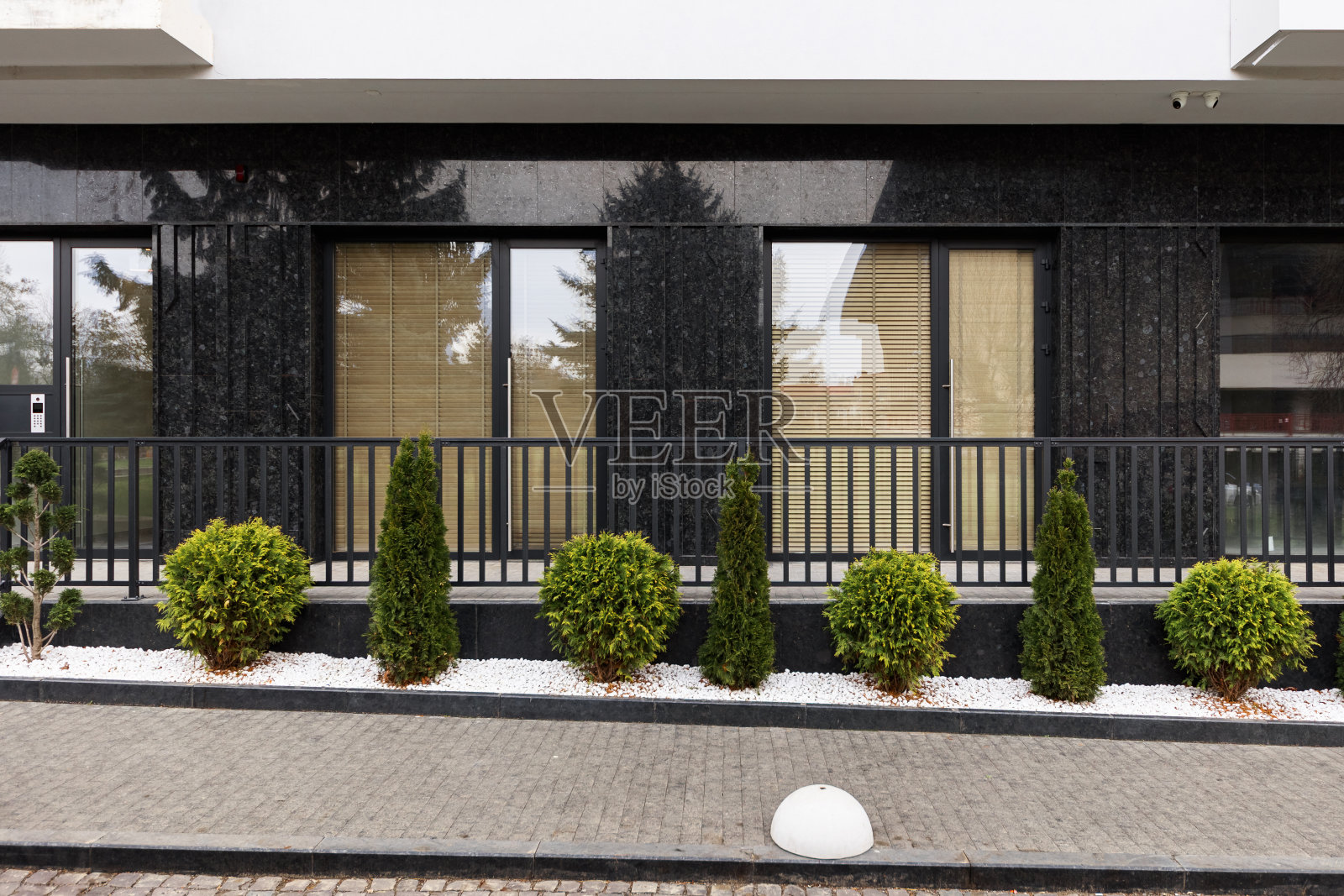 在现代住宅的背景上，室内景观中的停车半球和thuja。照片摄影图片