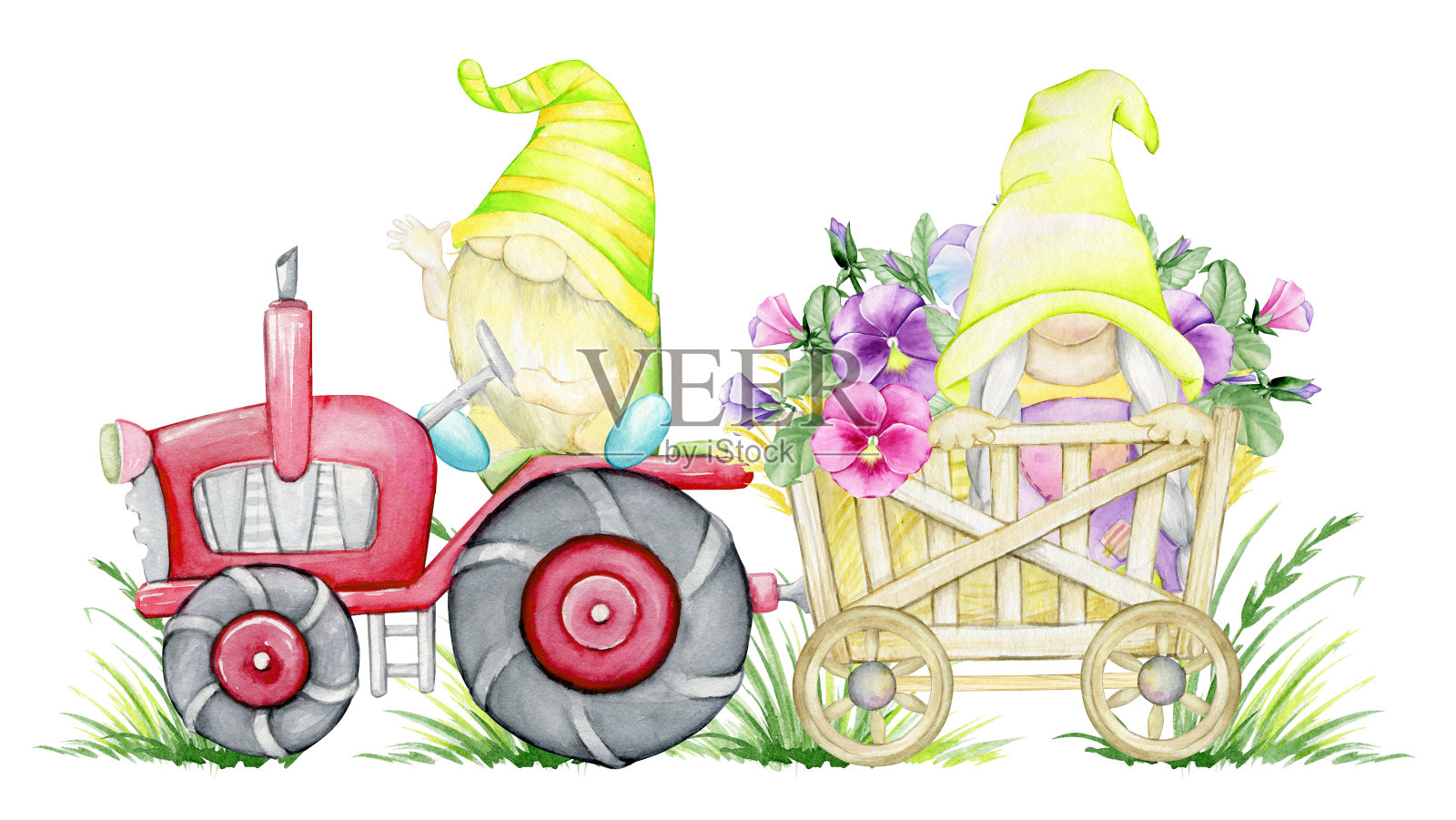 侏儒，骑着拖拉机，一束中提琴。卡通风格的水彩剪贴画，在孤立的背景上。插画图片素材