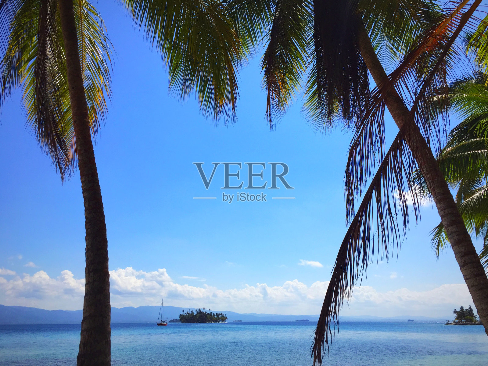 在巴拿马的圣布拉斯群岛，一艘船在蓝色的水面上航行，前景是棕榈树。Guna Yala/ San Blas群岛，巴拿马照片摄影图片