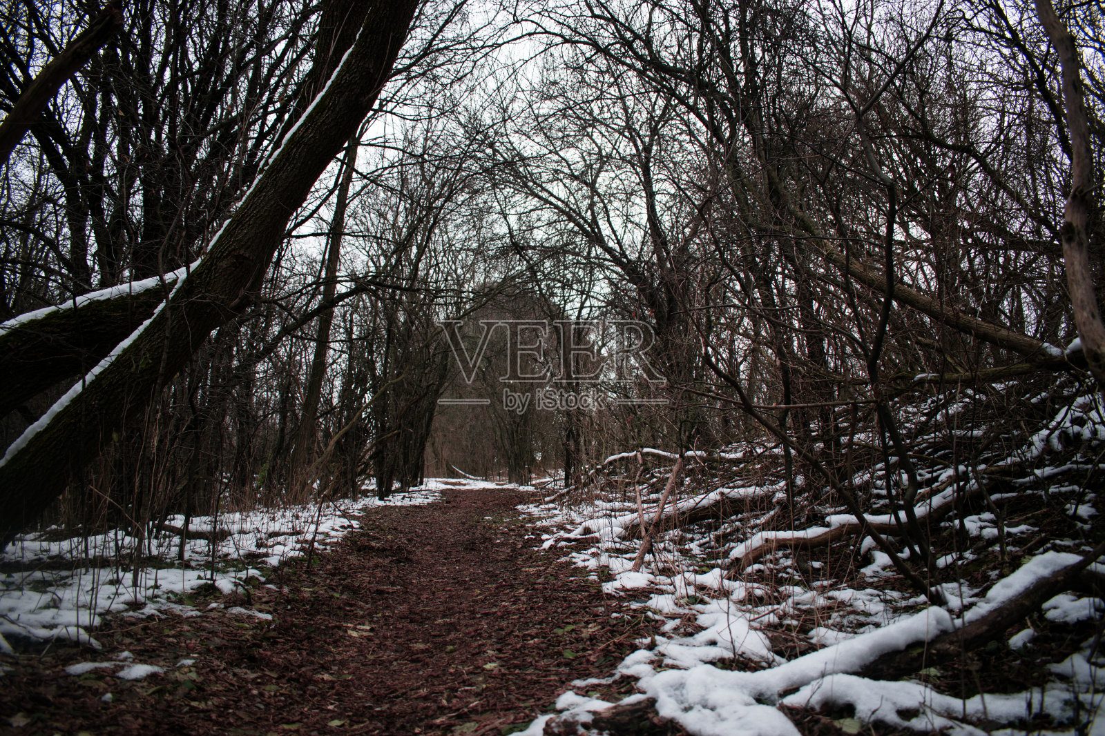 风景优美的冬景照片摄影图片