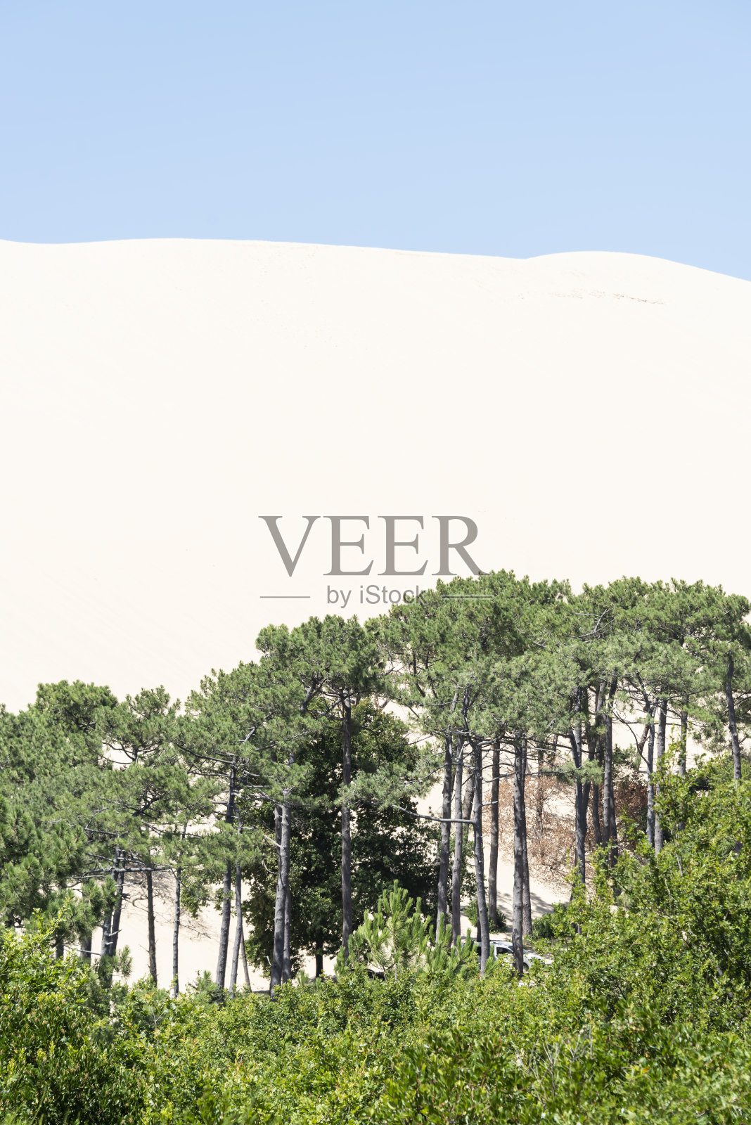 法国南部的皮拉特沙丘照片摄影图片