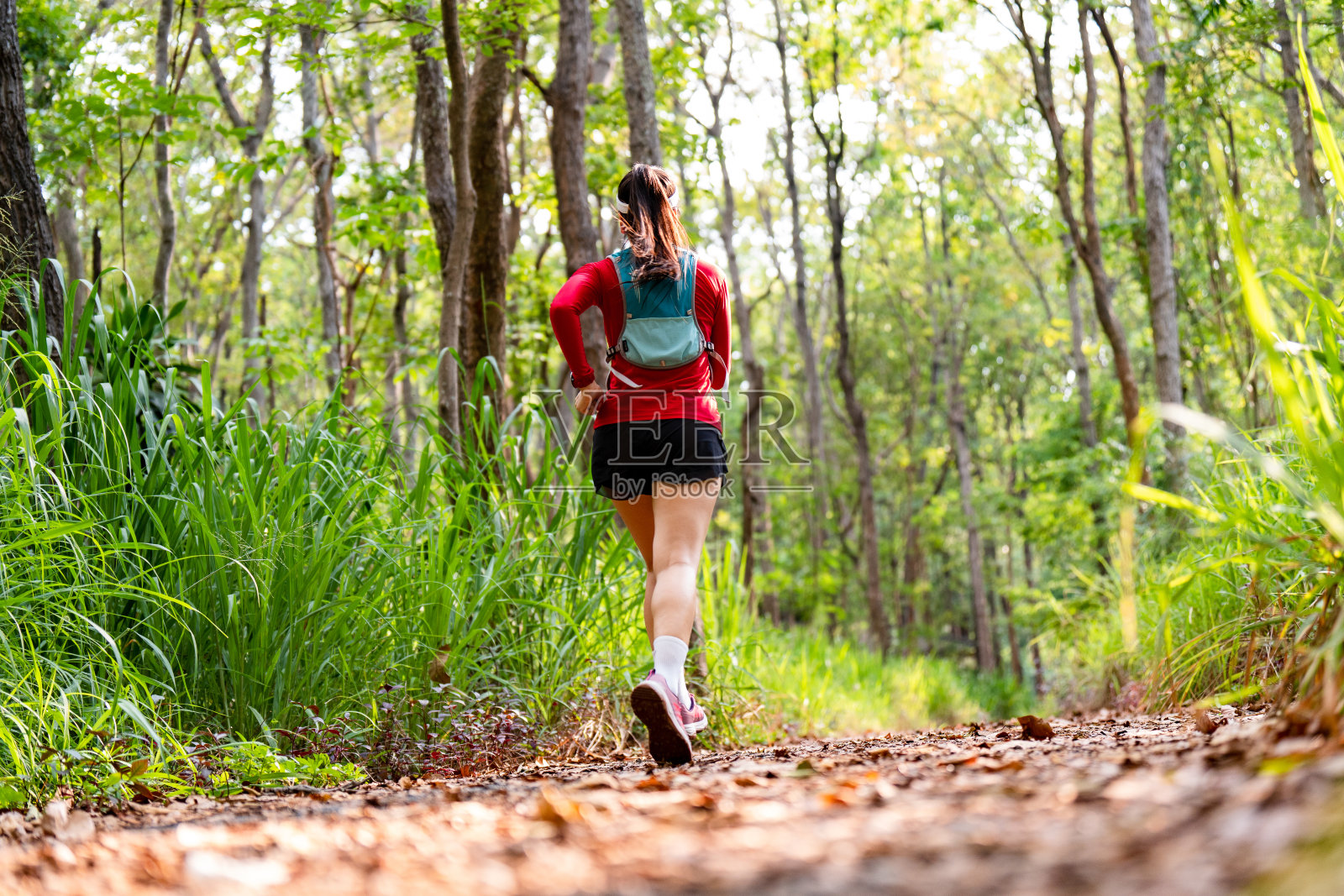 亚洲中年妇女晨跑在森林小径户外运动照片摄影图片