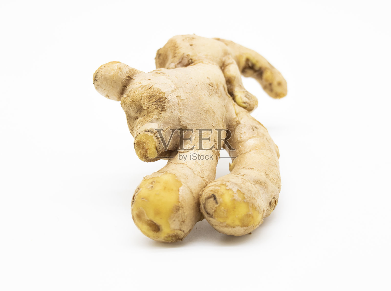 白底鲜姜，调味炒姜。素食食物。生姜根照片摄影图片