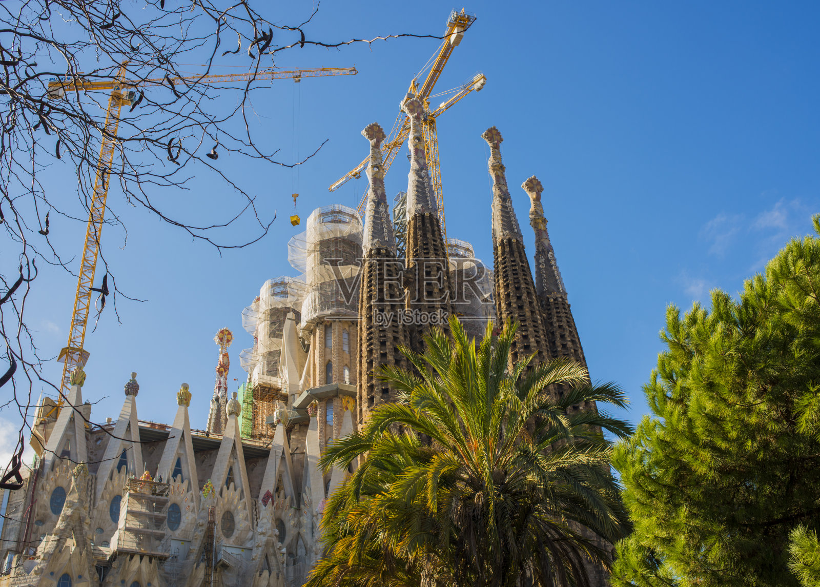 圣家族照片摄影图片