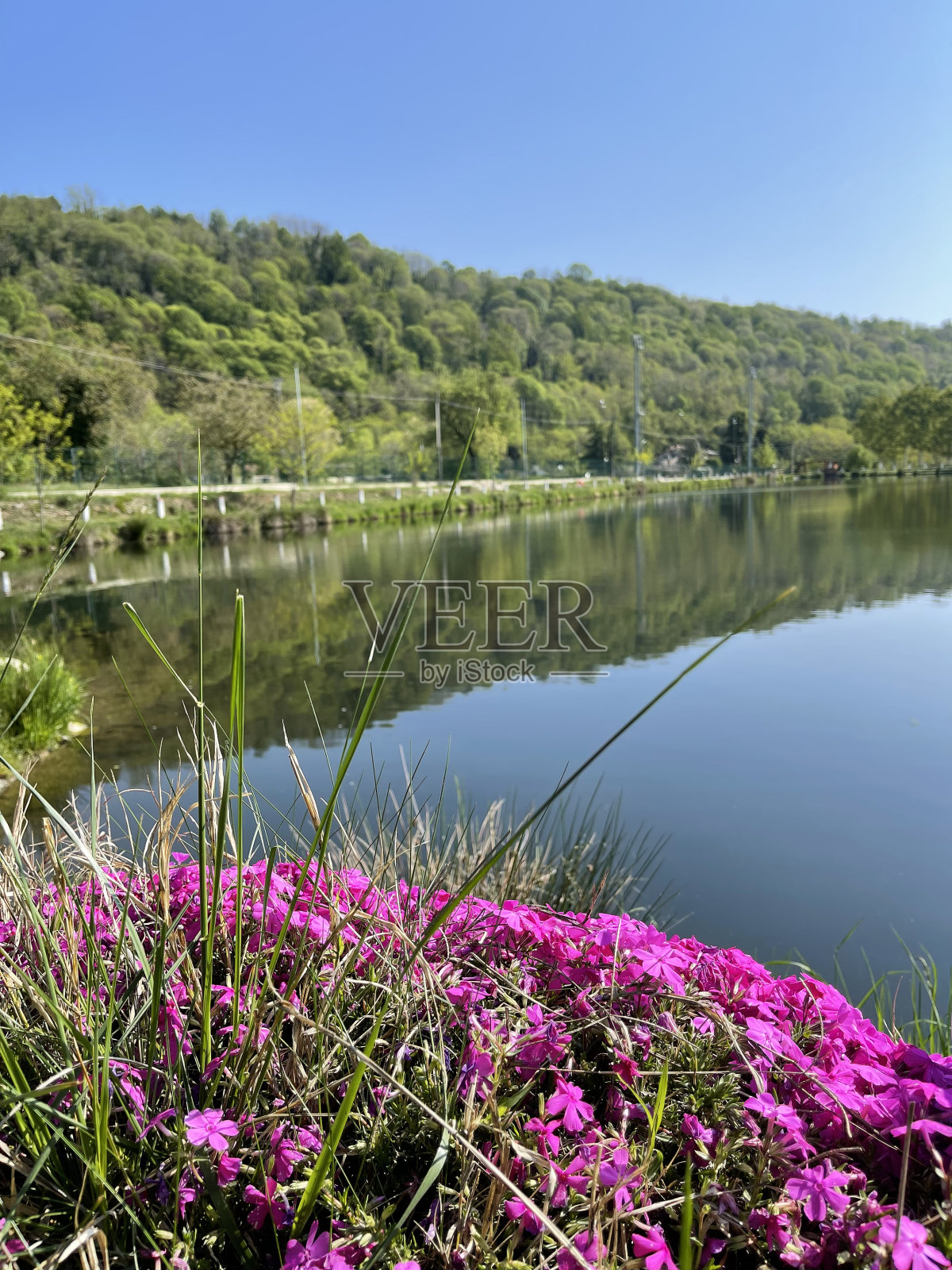 花湖照片摄影图片