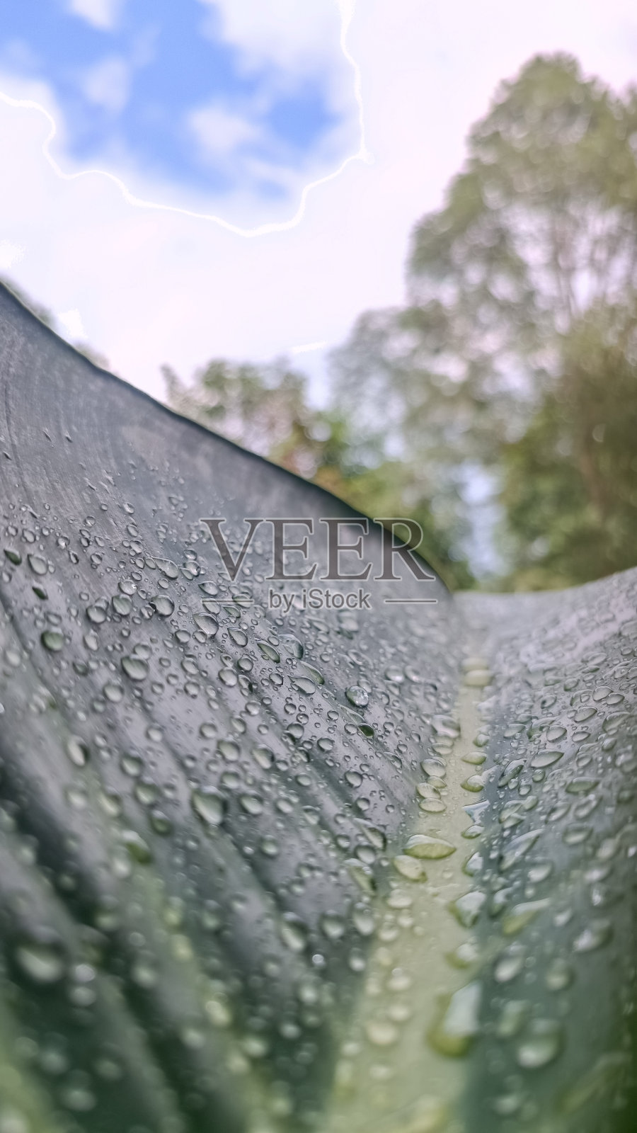 下雨了。照片摄影图片