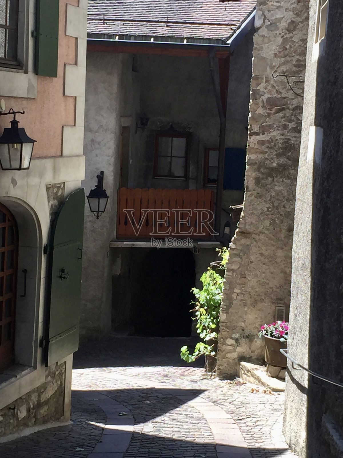 瑞士-沃州-圣萨波林-拉沃的梯田照片摄影图片