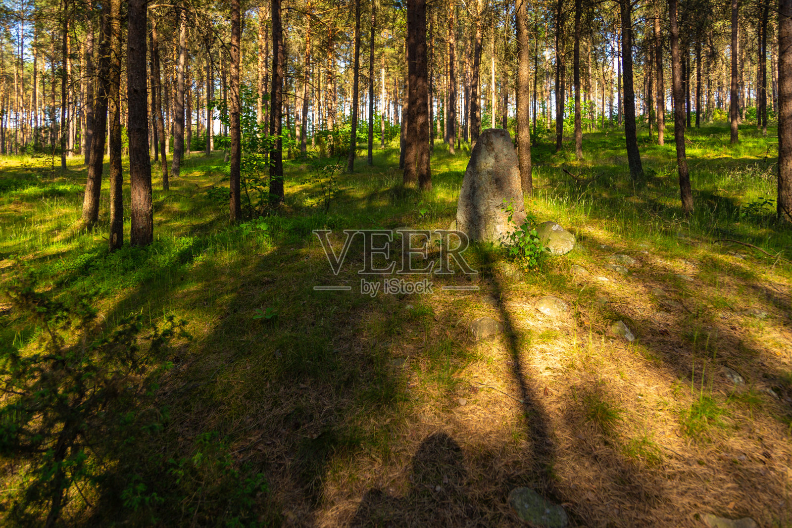 波兰Wesiory村附近的墓地照片摄影图片