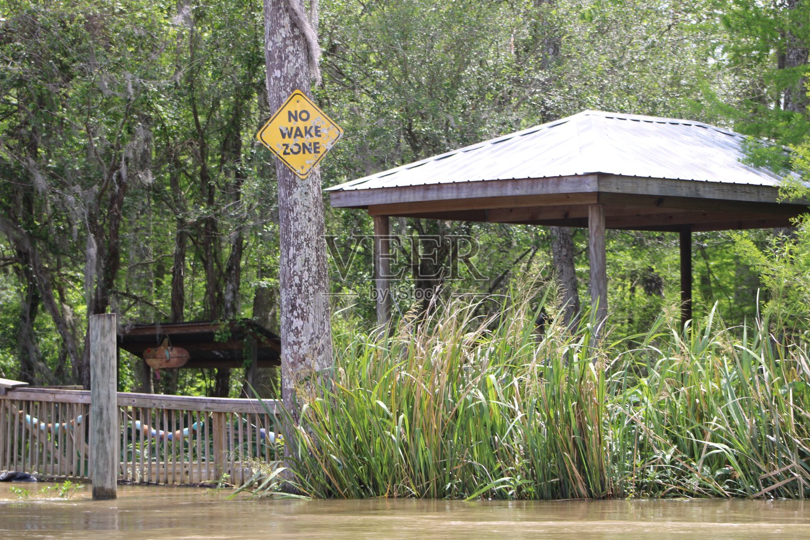 路易斯安那州斯莱德尔蜜岛沼泽之旅的景观。照片摄影图片