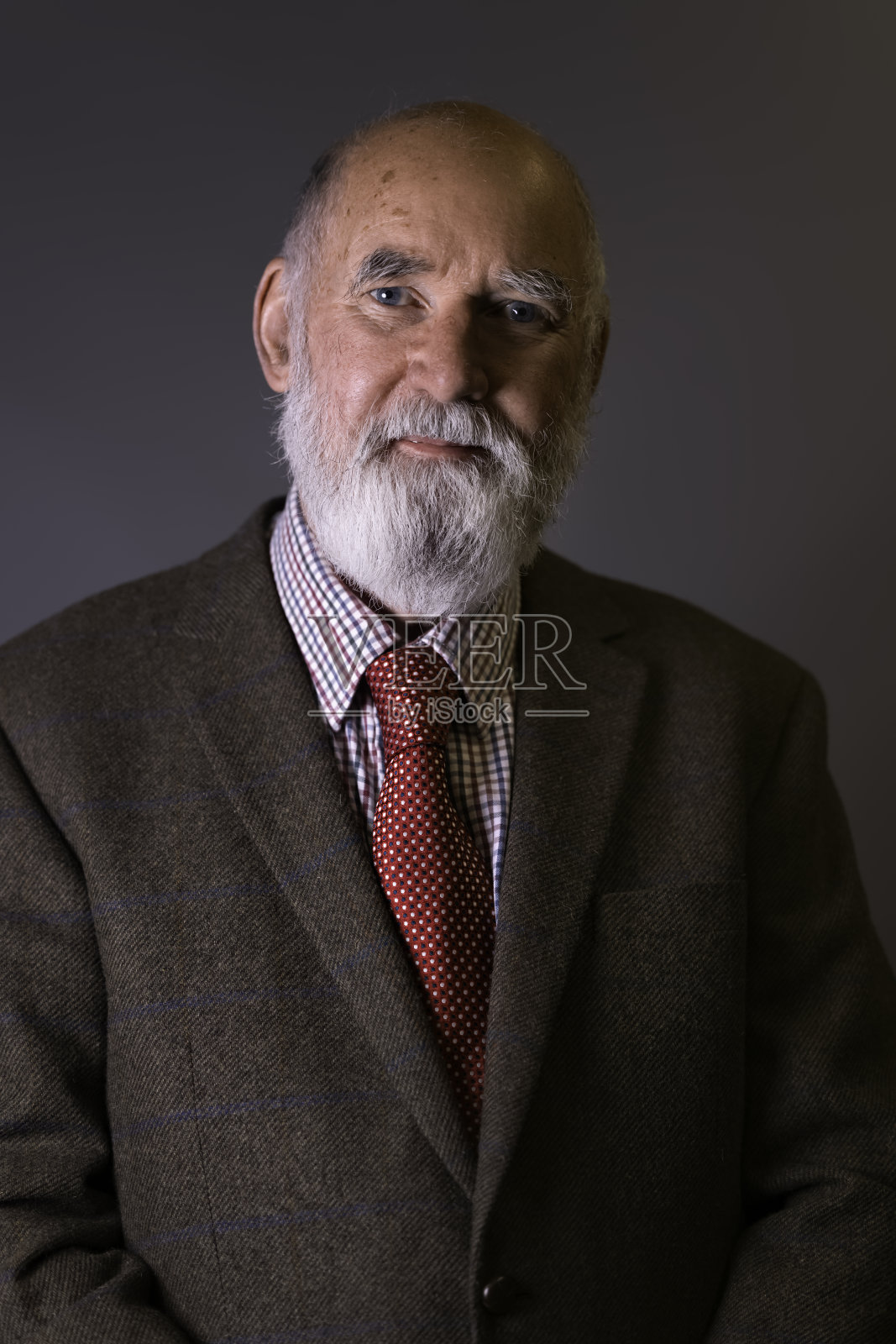 尊敬的英国老绅士照片摄影图片