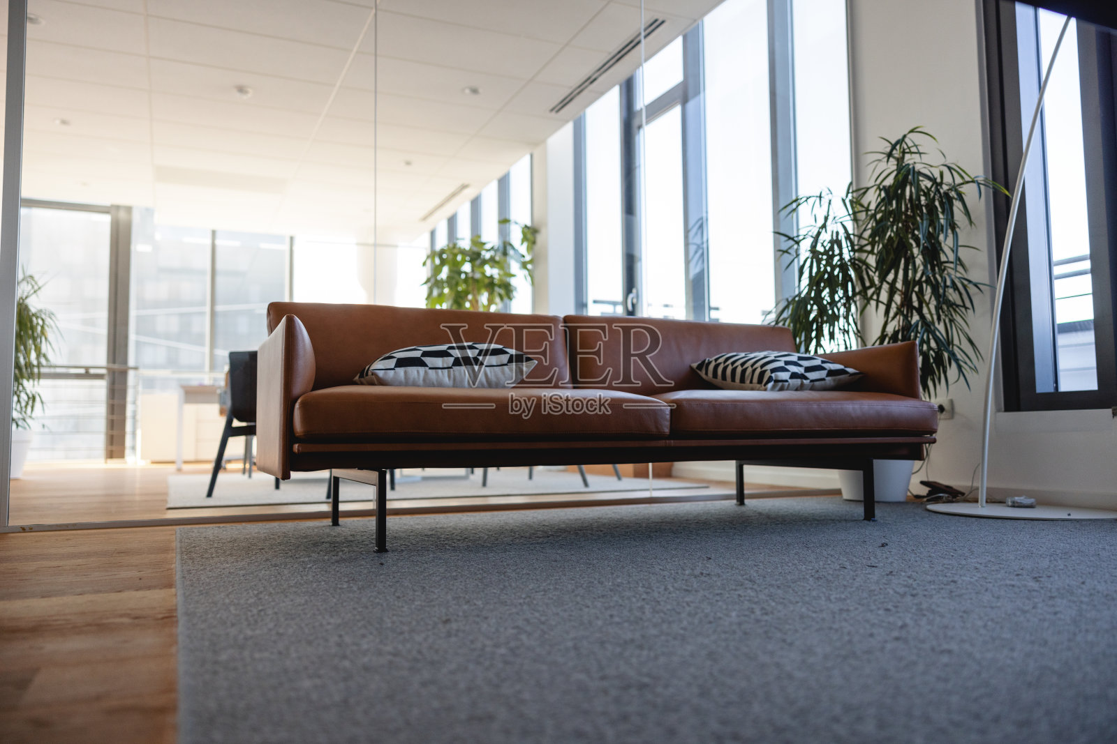 办公室的沙发照片摄影图片