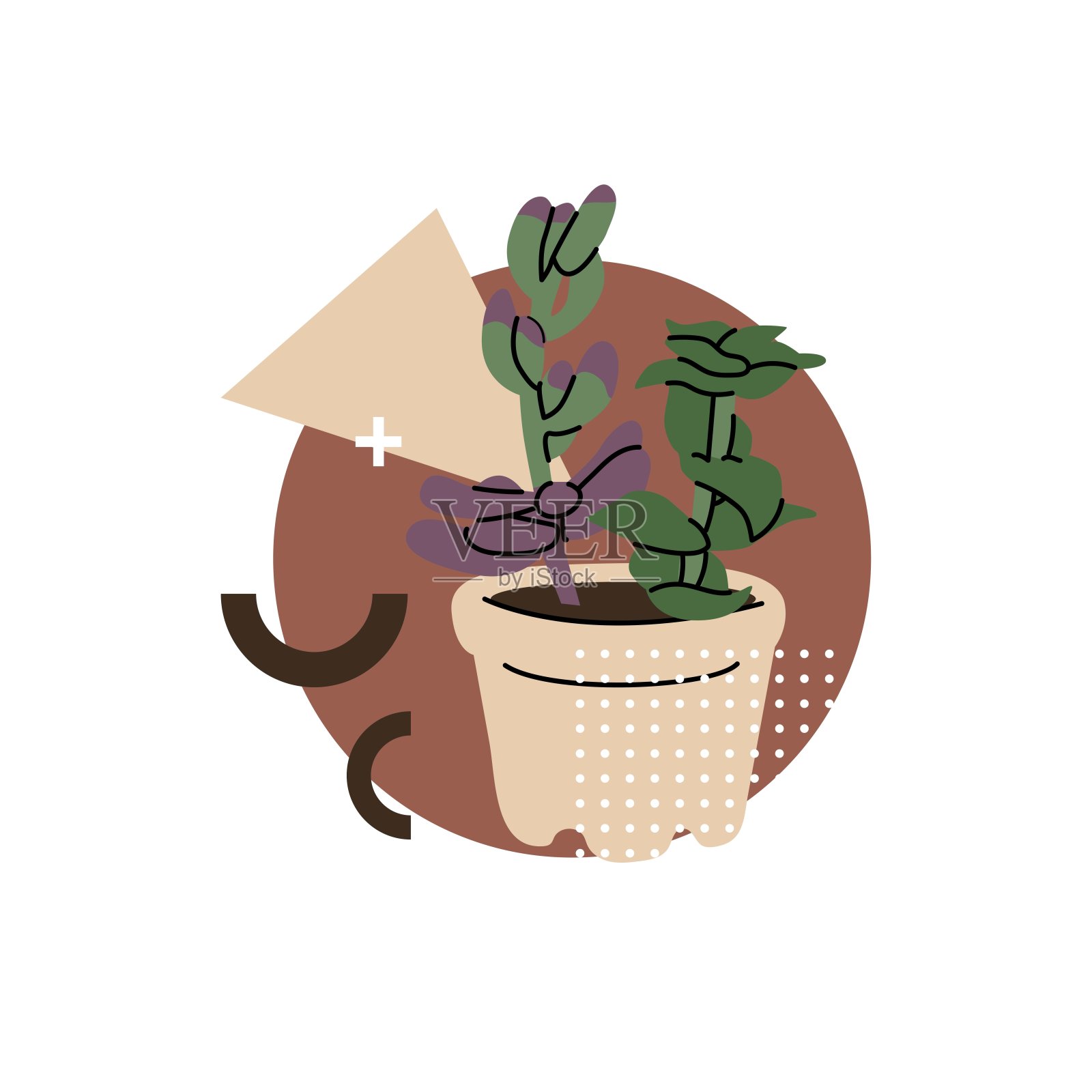 植物和孟菲斯风格元素的抽象构图。多肉植物和仙人掌，小型装饰性植物。为网站或工厂商店的矢量插图。孤立的元素在白色背景。插画图片素材