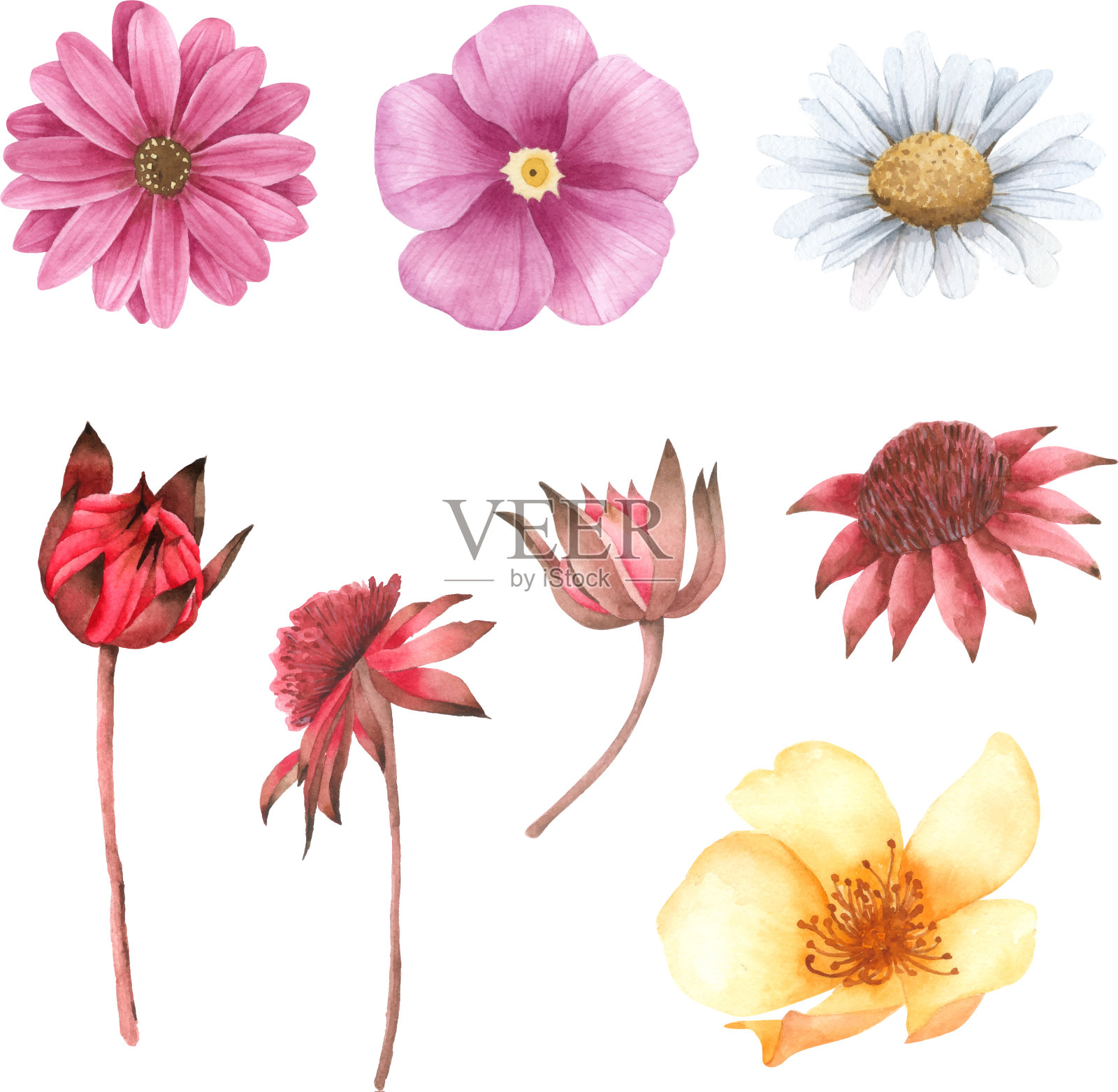 花卉水彩收集手绘颜料插画图片素材
