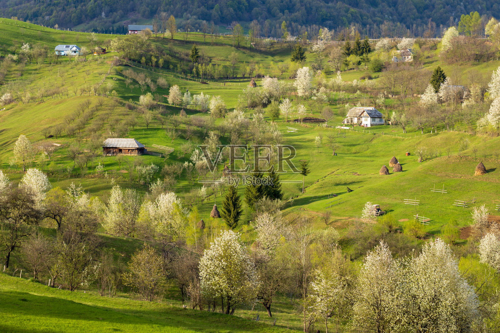 春天的风景照片摄影图片