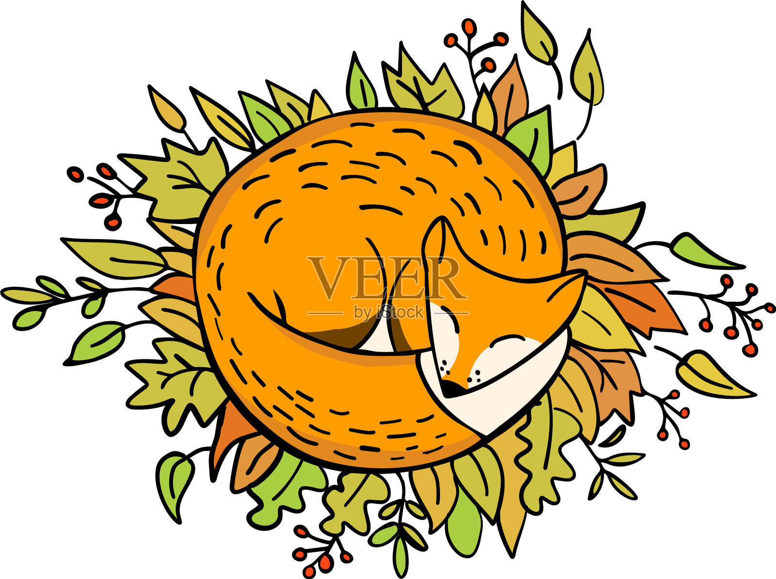 可爱的狐狸在白色的秋叶上睡着了设计元素图片