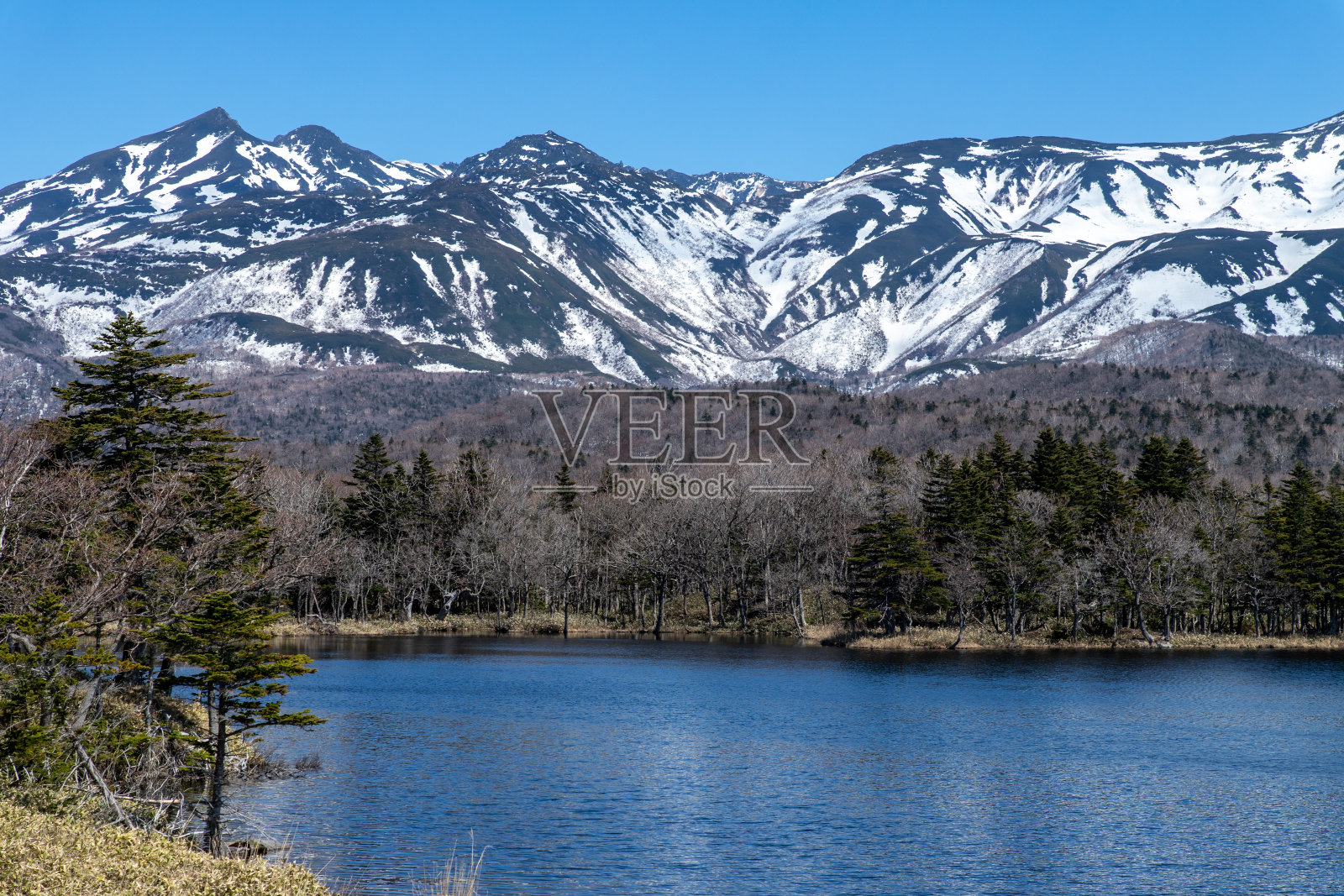 北海道知床半岛的春天风光。照片摄影图片