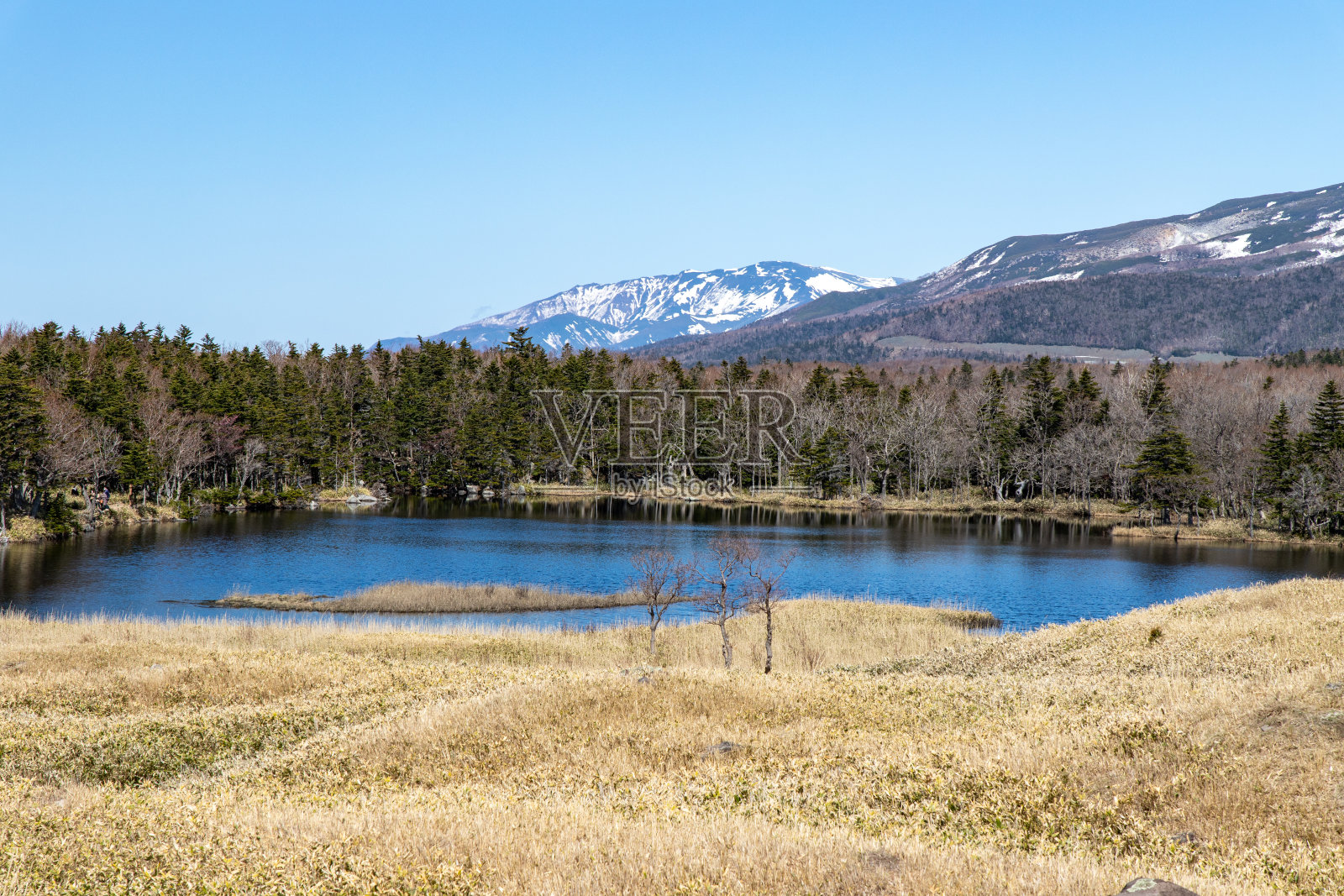 北海道知床半岛的春天风光。照片摄影图片