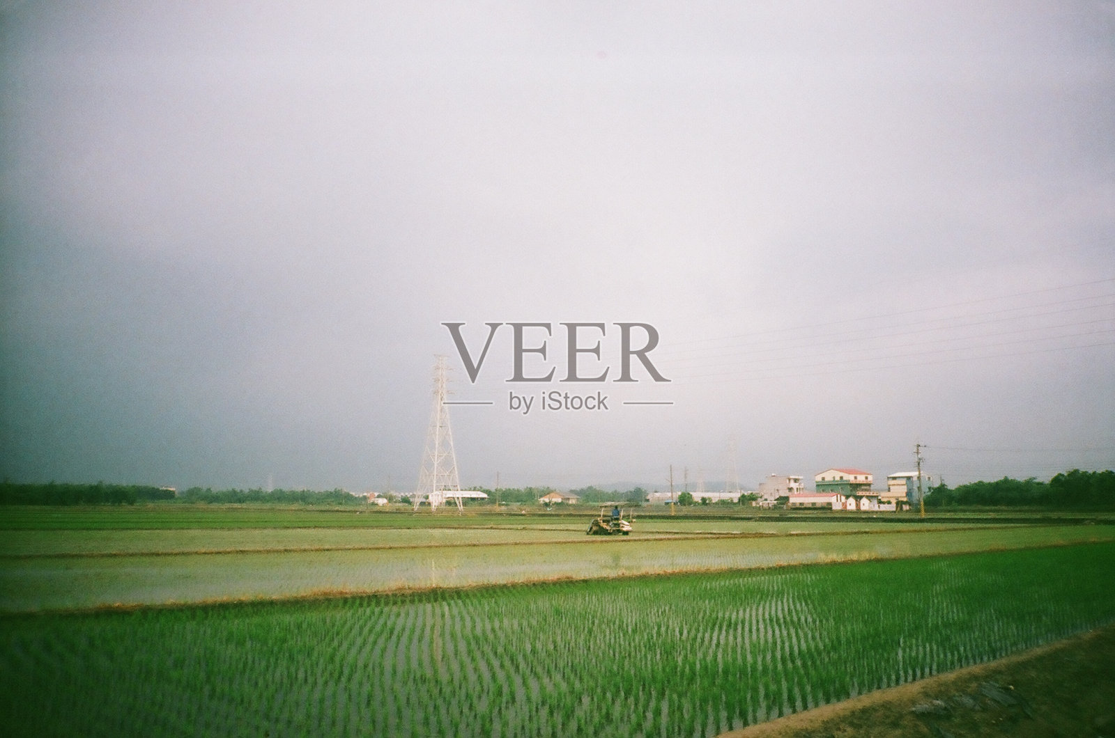 用电影摄影机拍摄的台湾稻田照片摄影图片