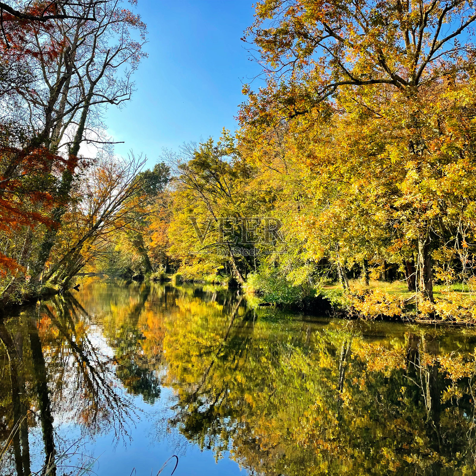 自然的镜子。照片摄影图片