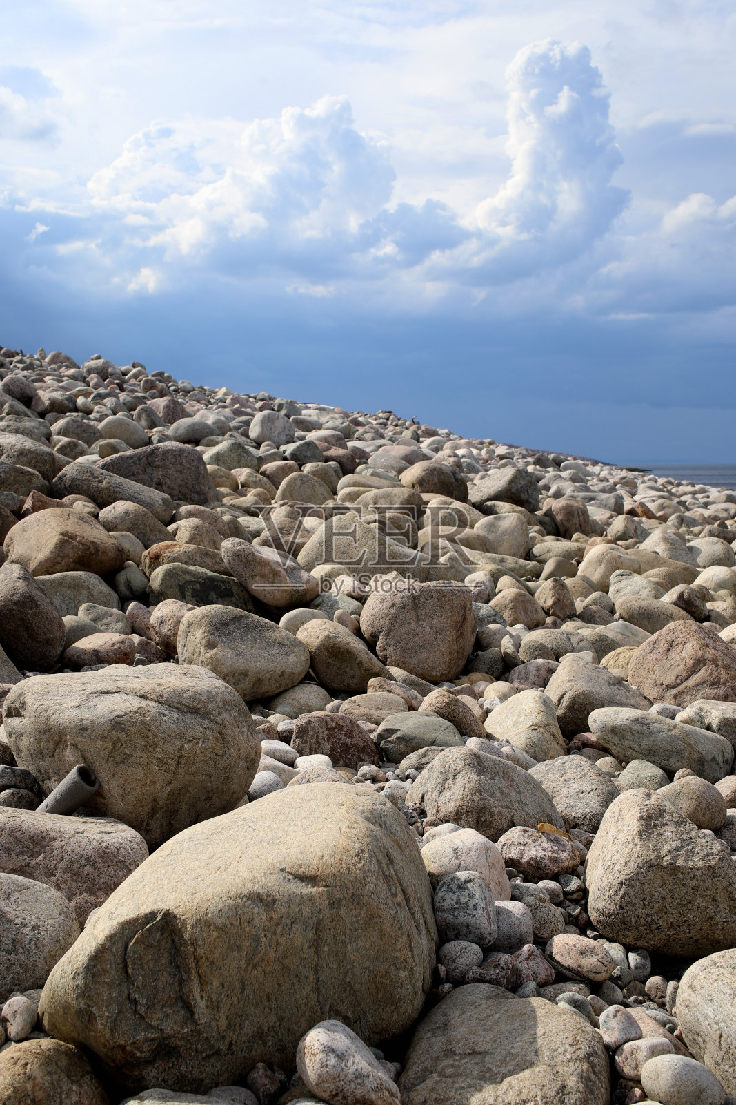 有纹理的石头覆盖着北方地衣照片摄影图片