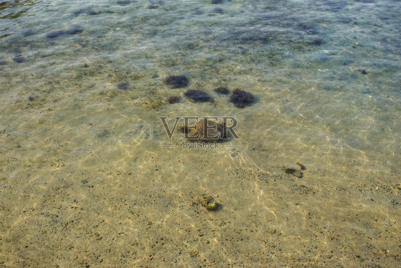 美丽清澈的海滨水域照片摄影图片