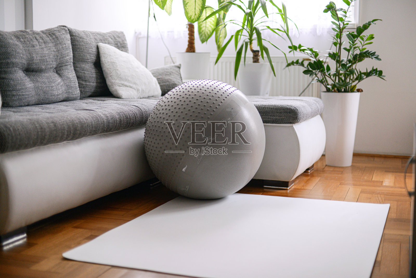 在家锻炼照片摄影图片