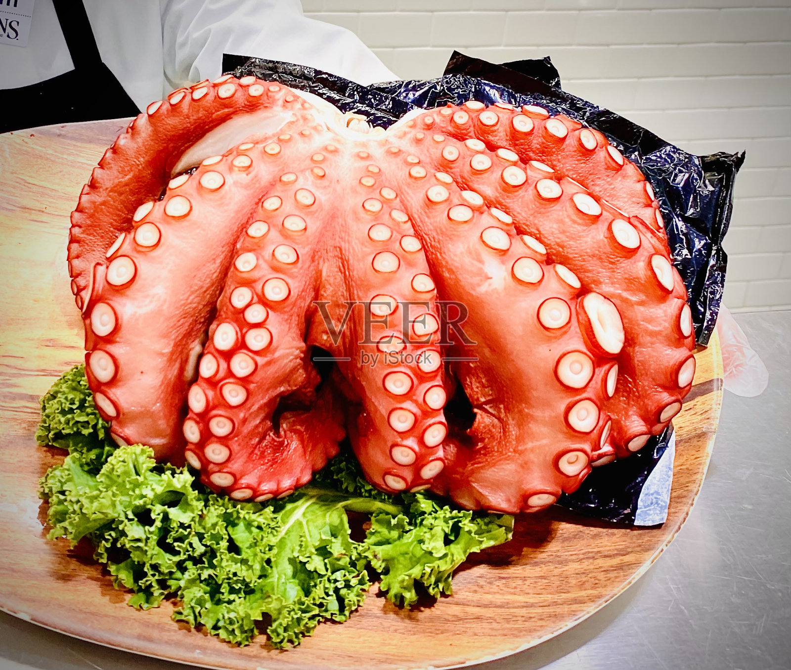 蒙特雷湾章鱼照片摄影图片