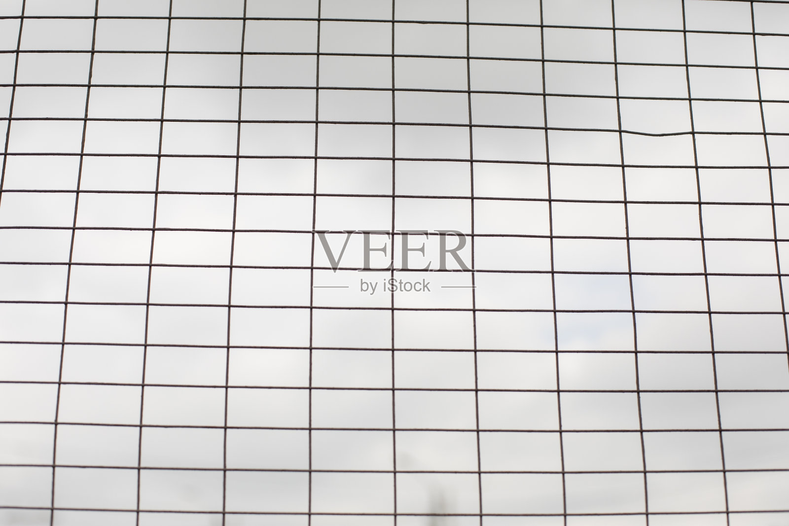 格子映衬着灰色的天空。钢笼。照片摄影图片