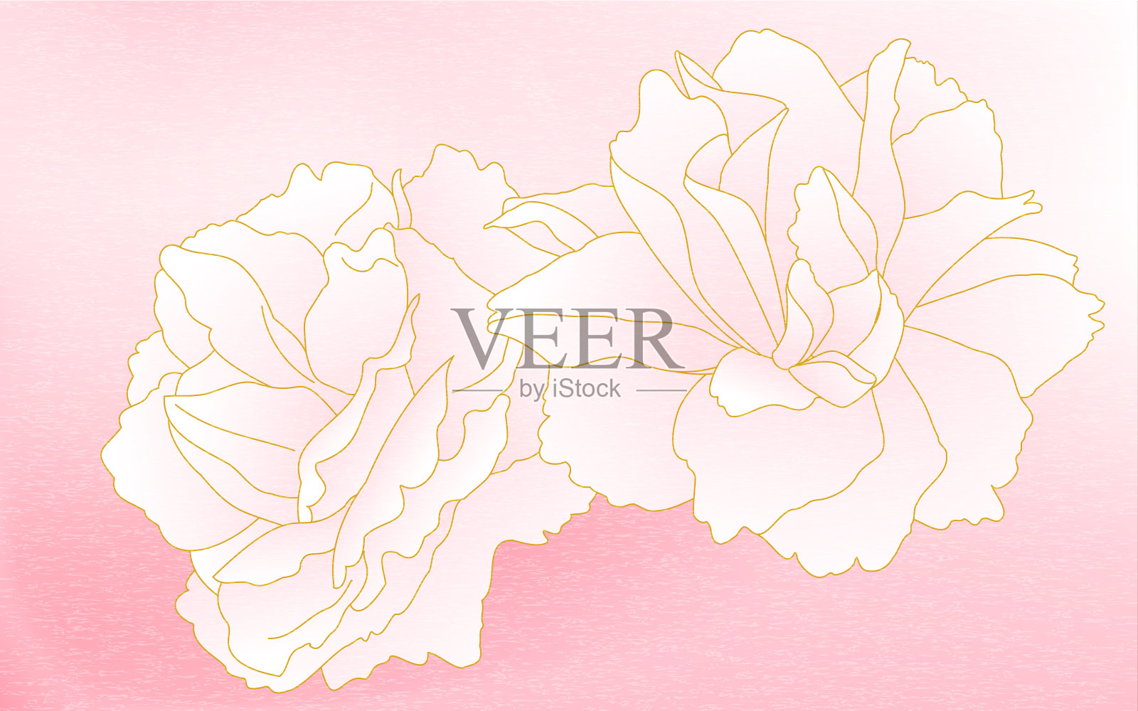 春天的花草，一簇簇重瓣樱花(牡丹樱桃)在浅粉色梯度，覆盖着日本的质地的草。插画图片素材