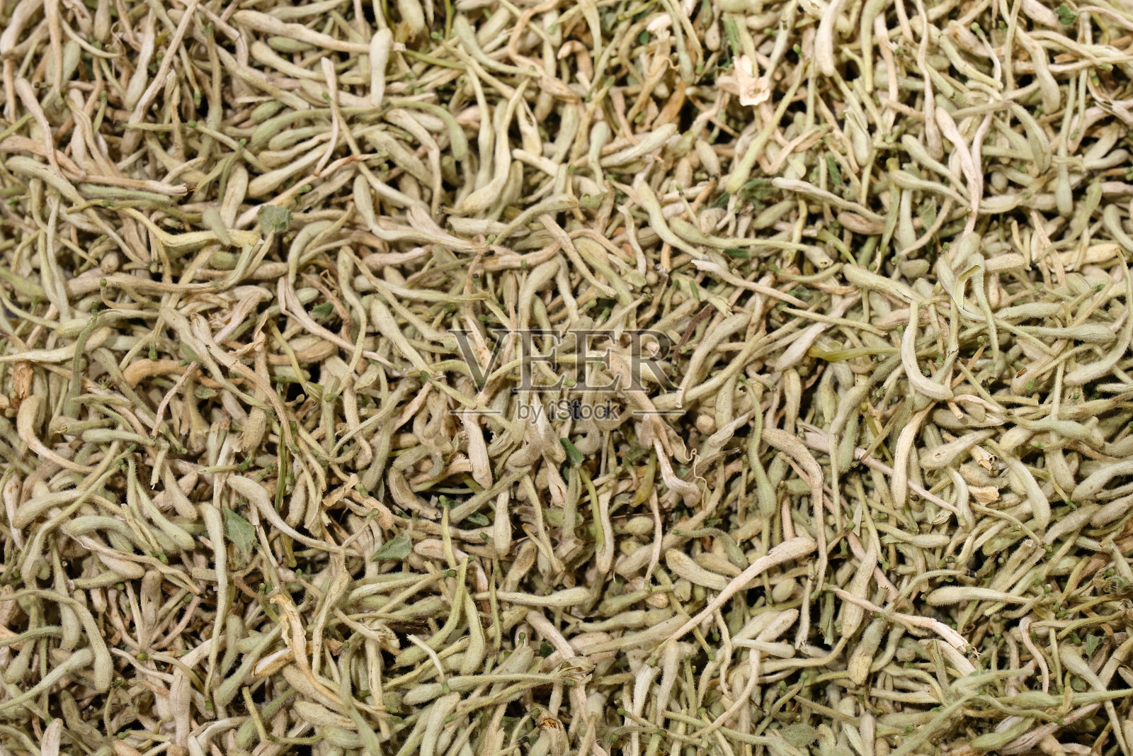 干金银花背景照片摄影图片