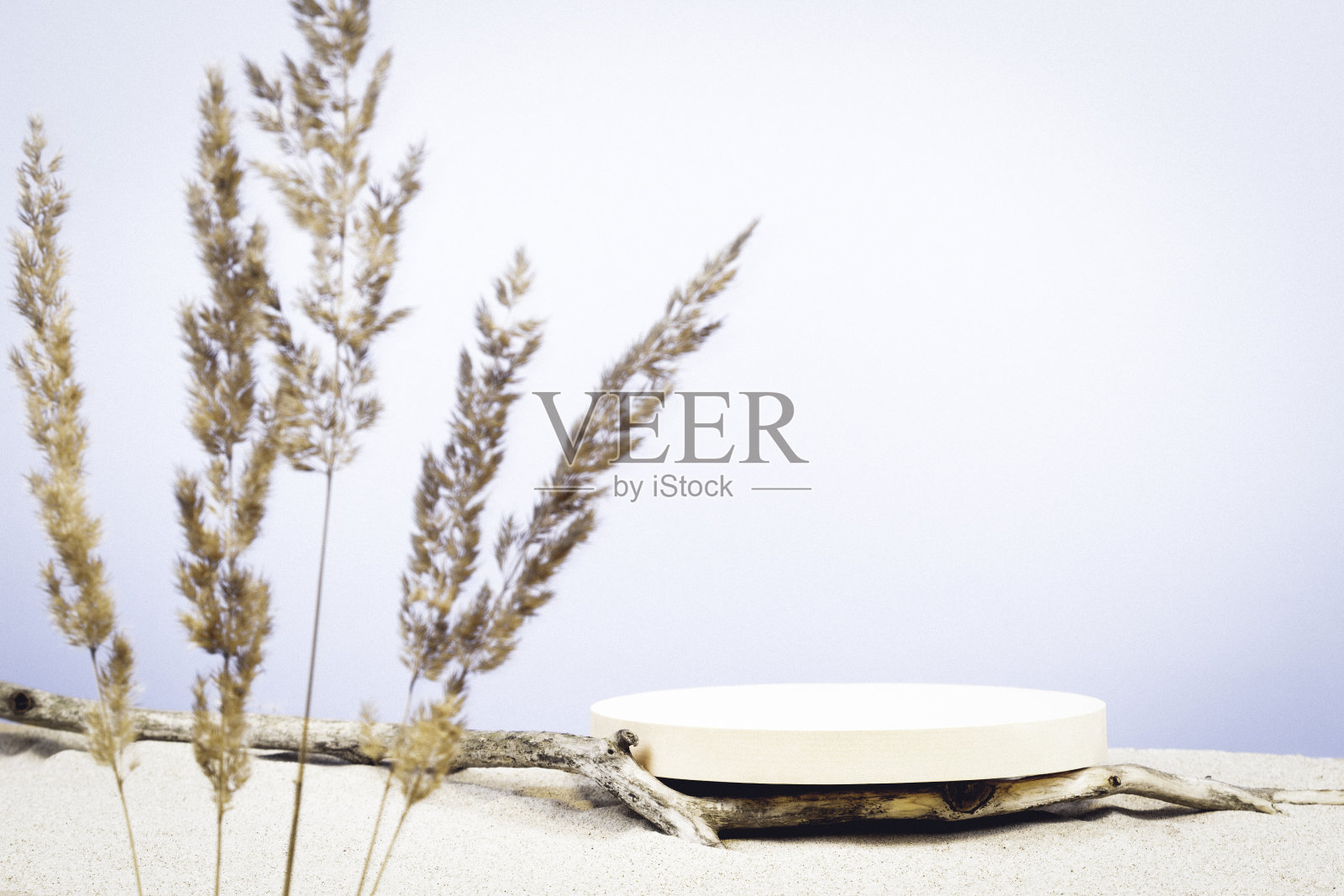 圆米色平台平台，干燥的树枝上白色的沙滩沙子与干燥弯曲的植物在前景。化妆品或产品展示的创意背景最小。前视图照片摄影图片