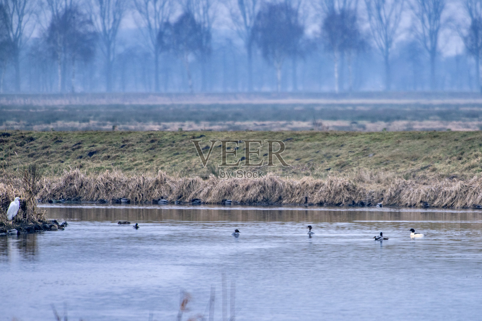 在德国拍摄的自然景观，在欧盟，欧洲。照片摄影图片