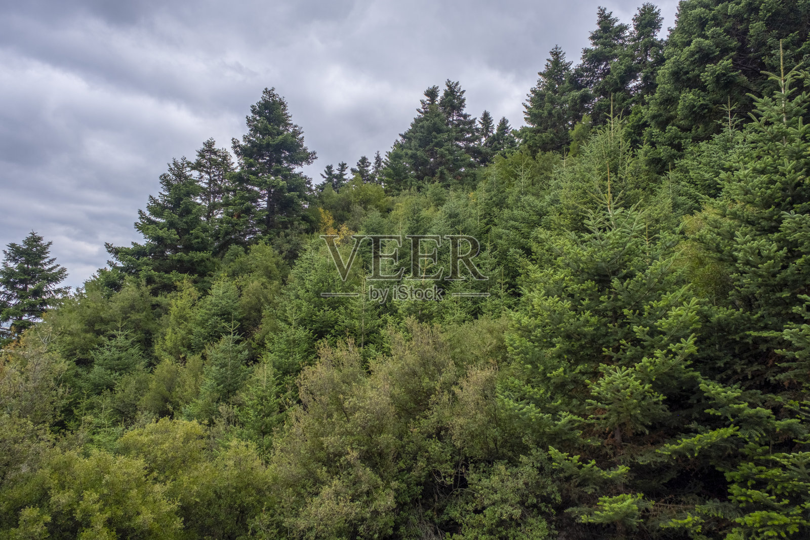 雾山景观照片摄影图片