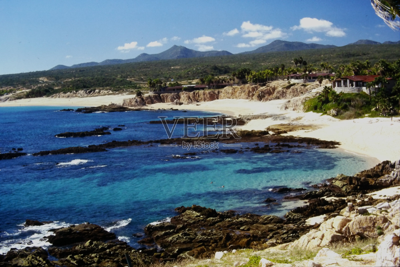 三月照片摄影图片