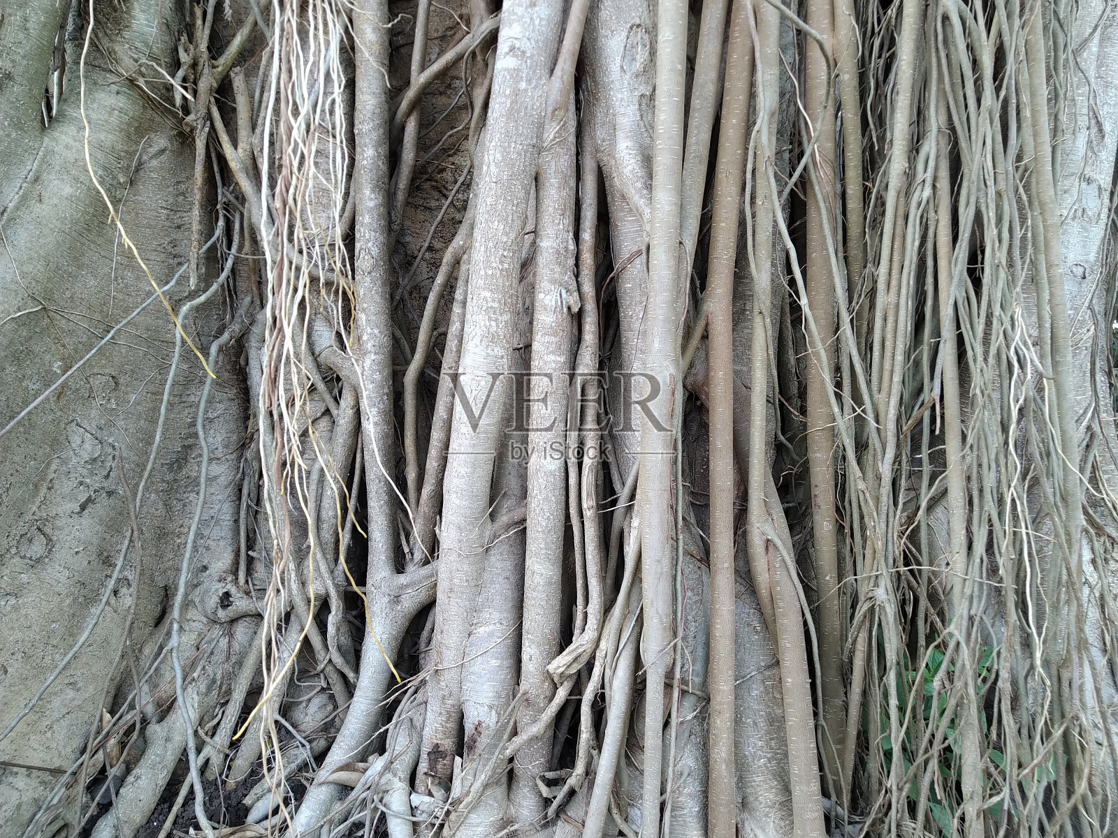 悦榕庄照片摄影图片