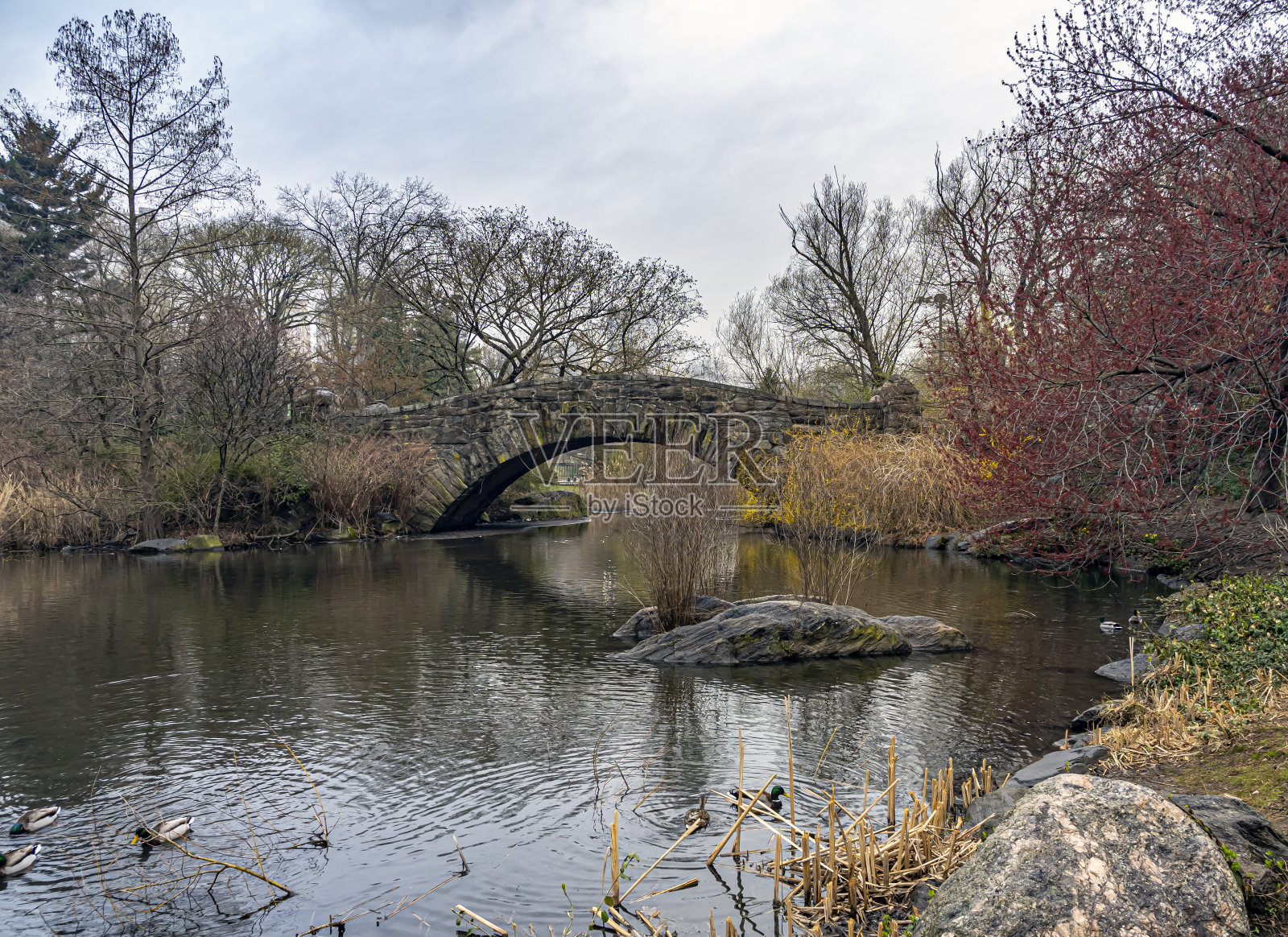 中央公园的盖普斯托桥照片摄影图片