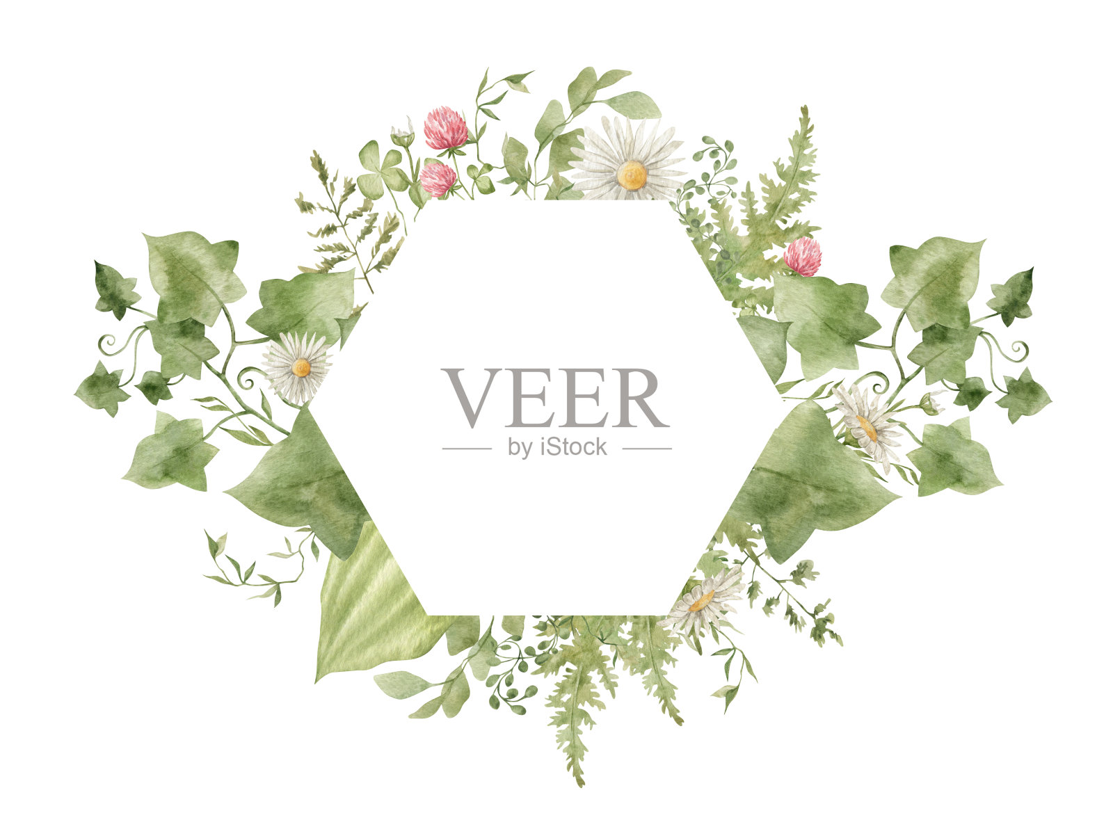 水彩花卉框架插画图片素材