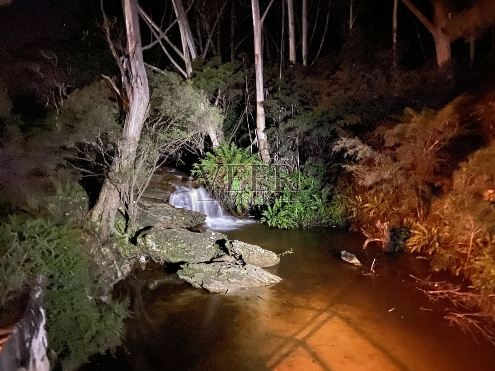 池塘照片摄影图片