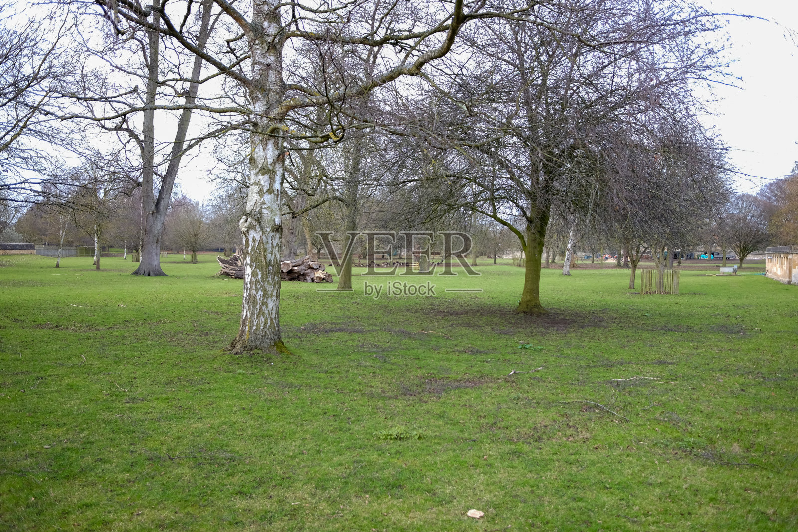 英国牛津市的一座绿色公园照片摄影图片