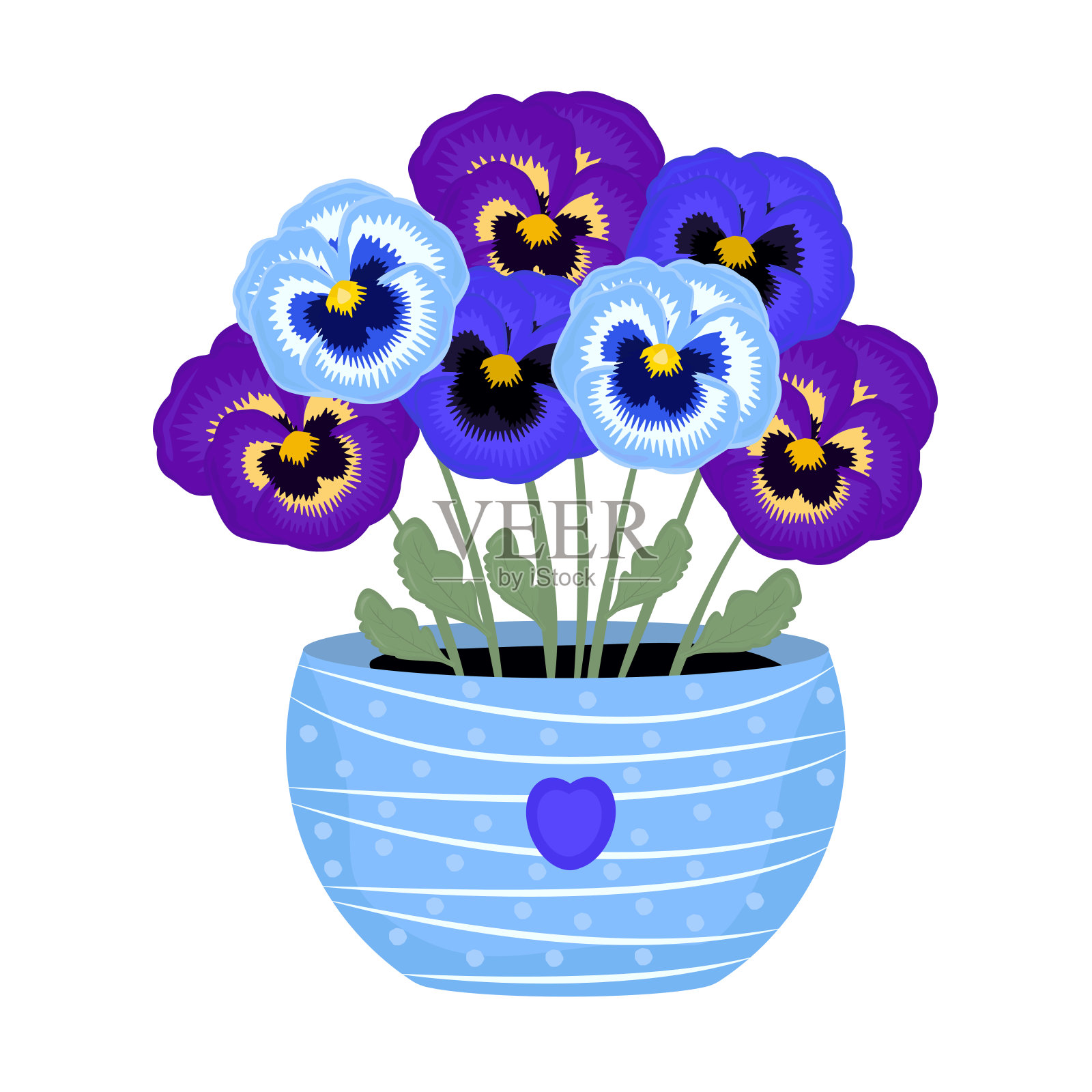 花盆里的蓝色和紫色三色紫罗兰插画图片素材