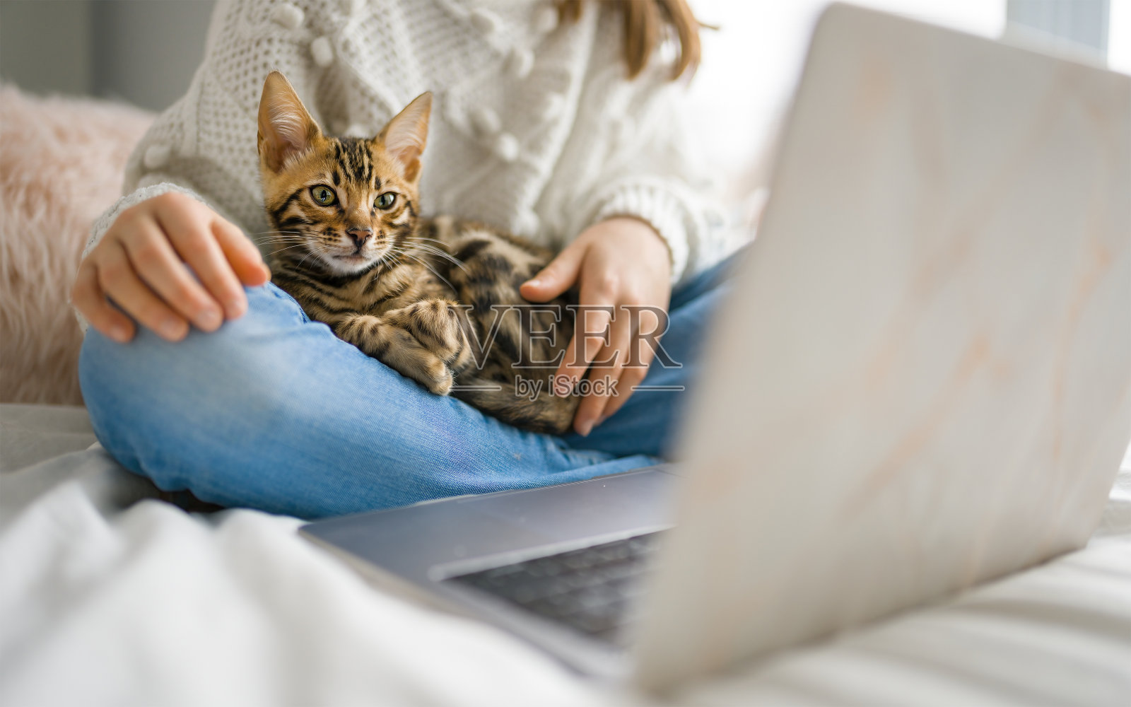 孟加拉猫和孩子坐在家里的电脑上照片摄影图片