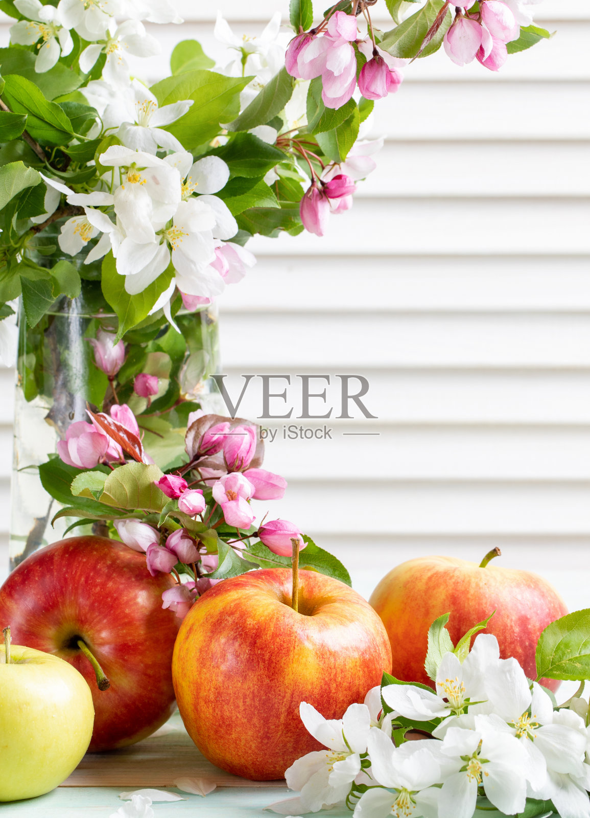 在白色百叶窗的背景下，苹果靠近和苹果树开花的树枝在玻璃花瓶里。照片摄影图片